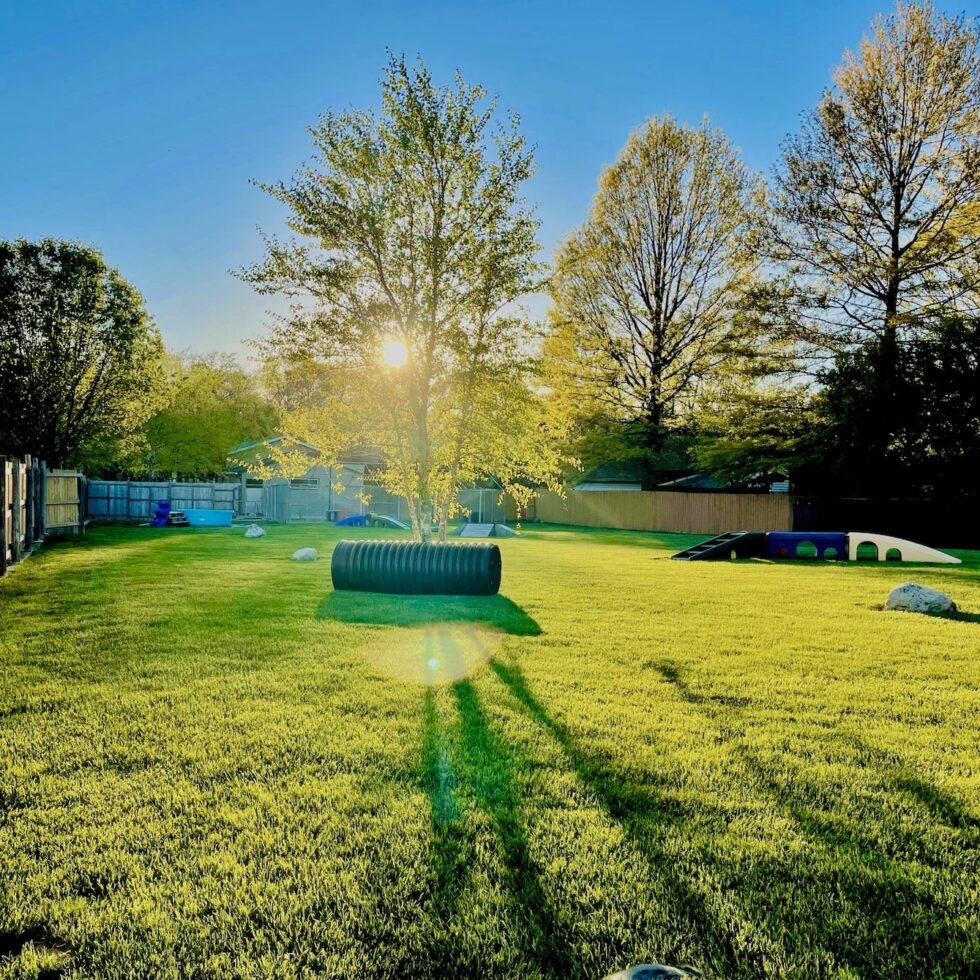 Camp K9 Pet Resort and Spa, Inc. Dog Boarding, Daycare, Grooming and